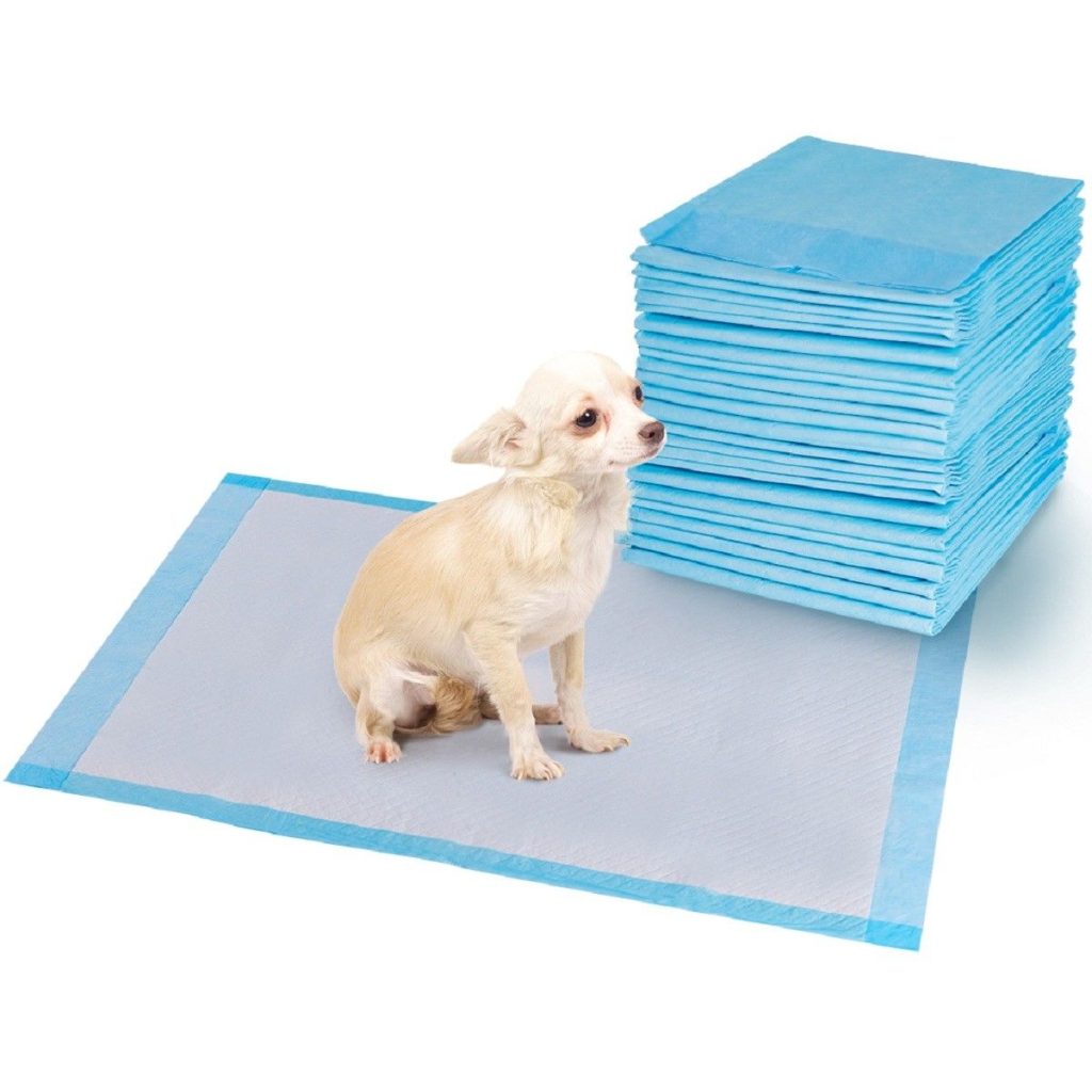 Do Dog Pee Pads Attract Cats