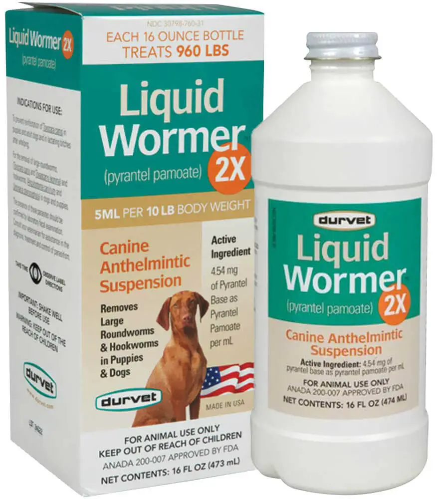 Can You Use Dog Wormer on Cats