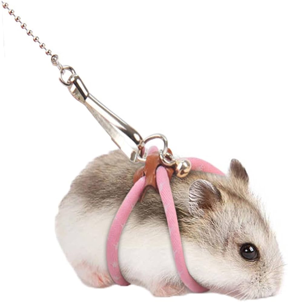 Are Harnesses Safe For Hamsters