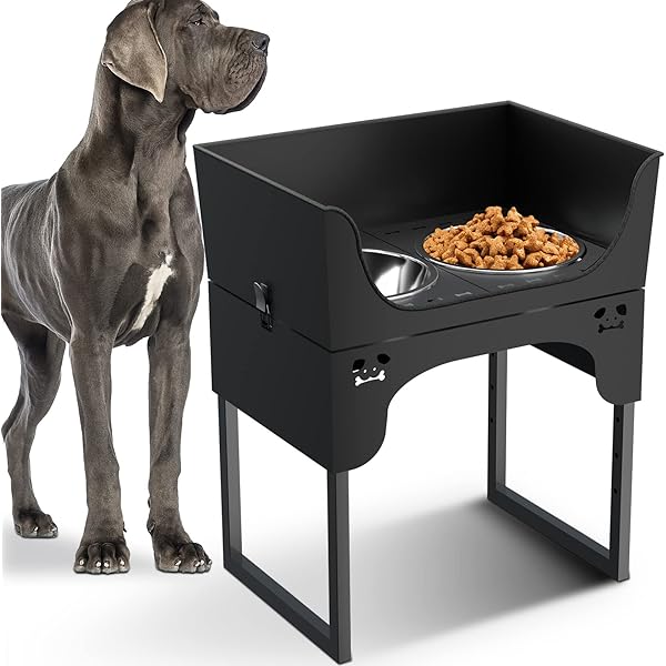 9 Best Elevated Dog Bowls for Great Danes