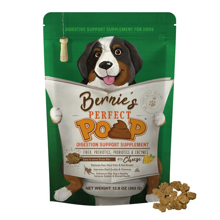 8 Best Dog Food For Great Danes With Diarrhea