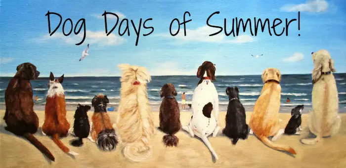 The Dog Days of Summer Gift Guide