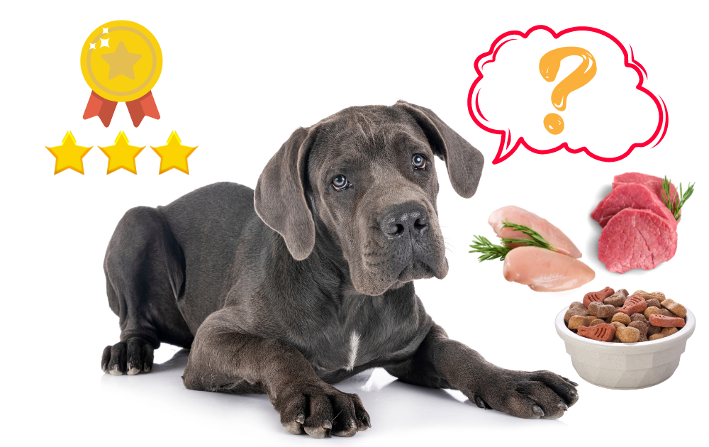 8 Best Dog Food for Great Danes With Skin Allergies