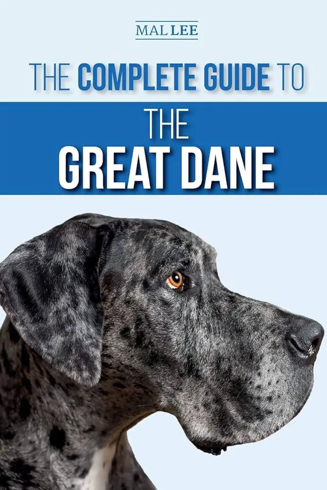 Are Great Danes Good With Cats?