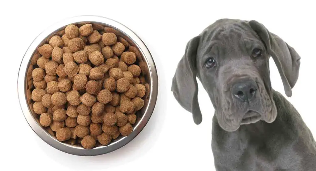 10 Superb Dry Dog Food Options for Great Danes