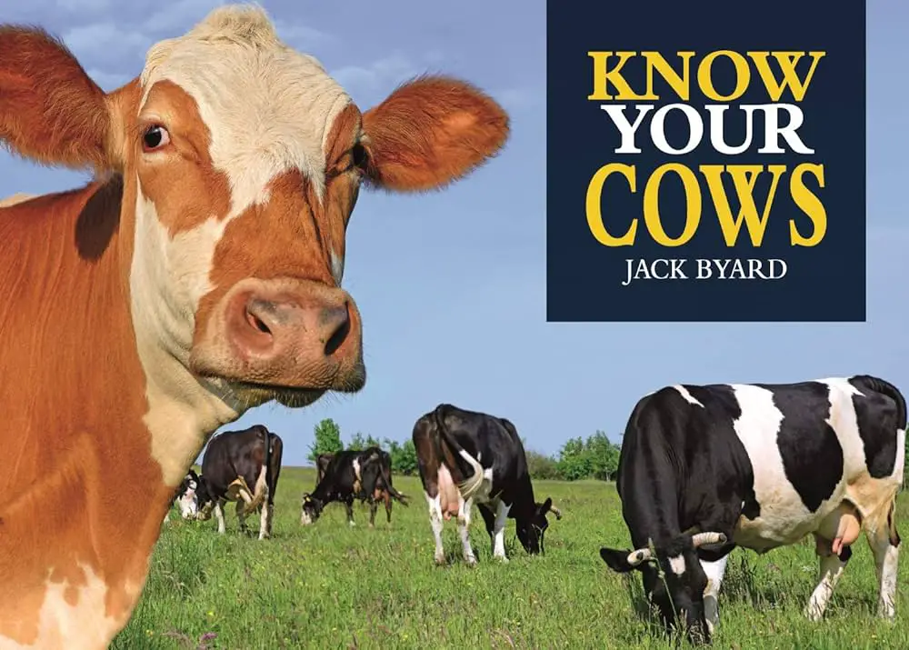 Can Cows Be Pets? Everything You Should Know Before Getting A Pet Cow!