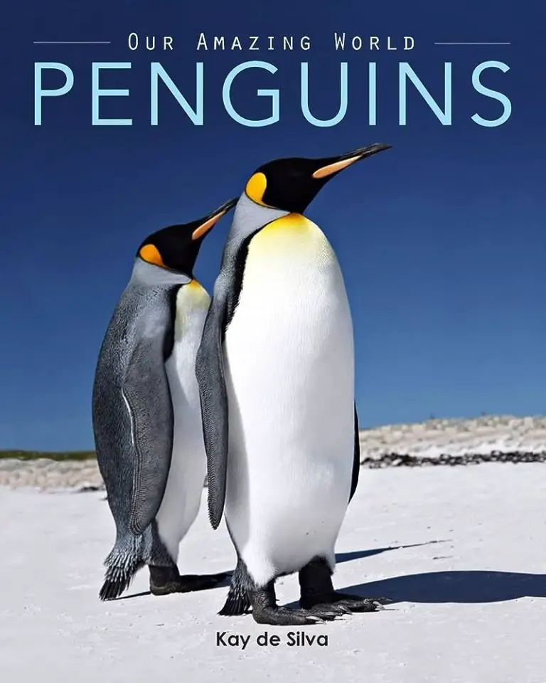 Can Penguins Be Pets