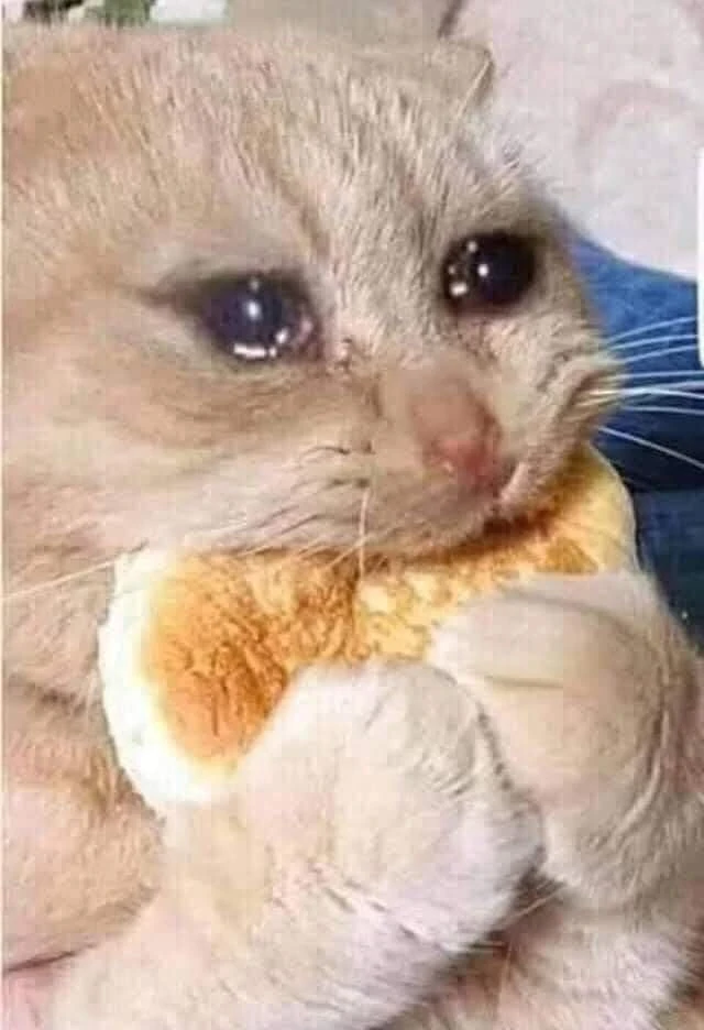 Why Does My Cat Cry When Eating