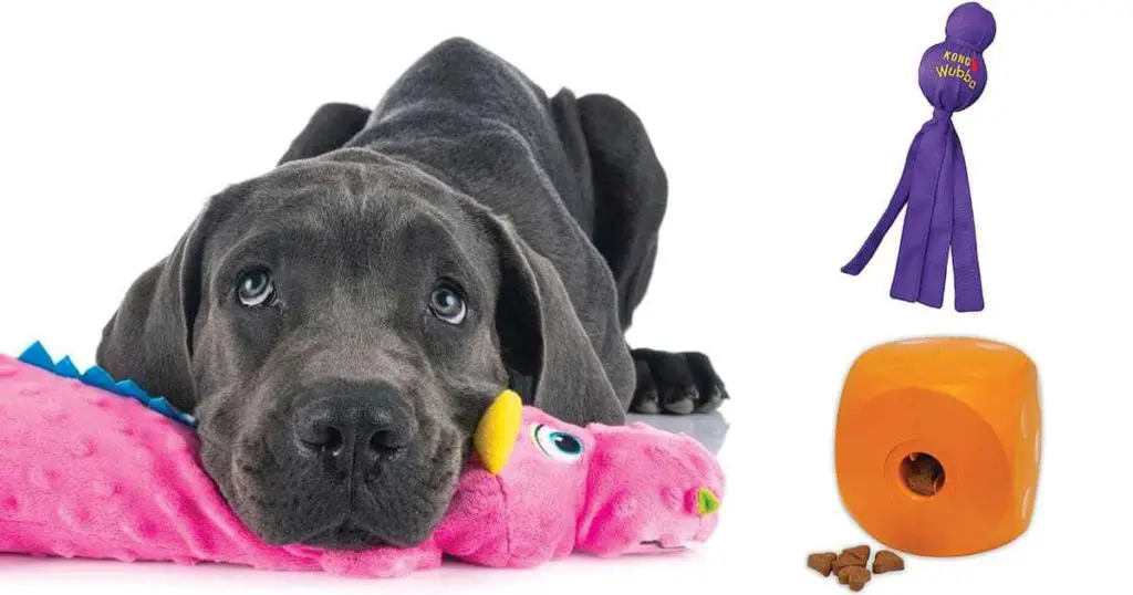 7 Must-Have Toys for Great Danes