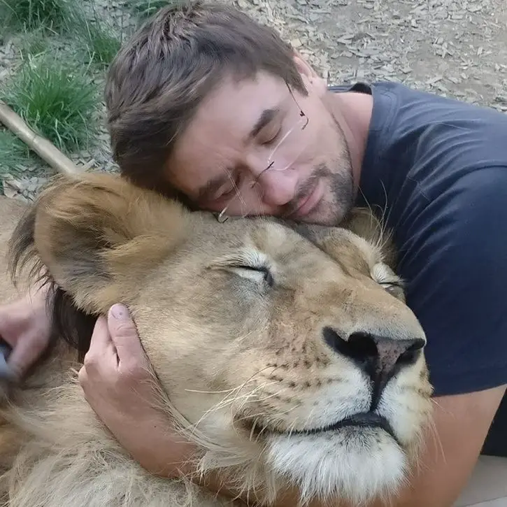 The Truth About Pet Lions