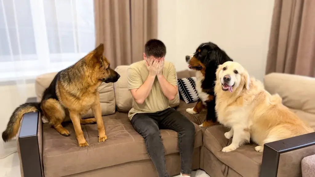 Why Do Dogs React To Puppies Crying