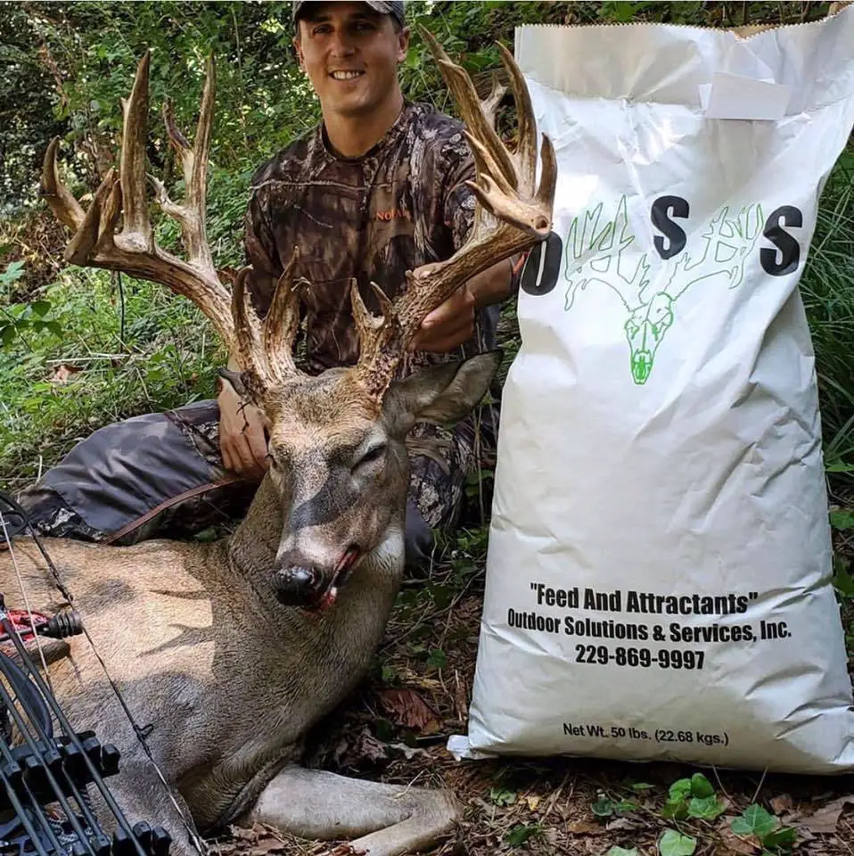 How to Make High Protein Deer Feed