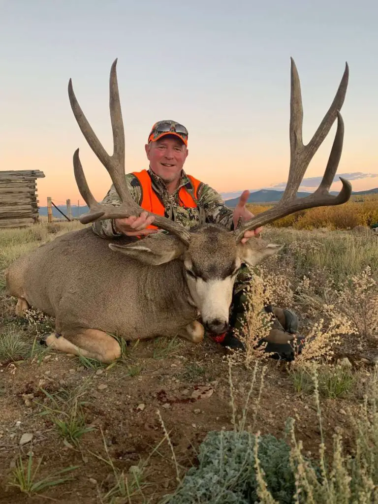 180 Class Mule Deer