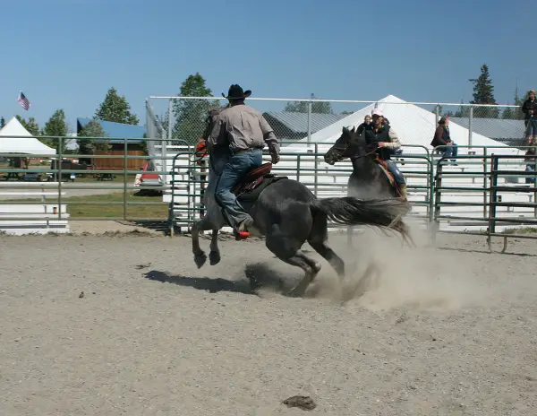 How to Prevent a Horse From Bolting Through the Bit: 5 Powerful Techniques