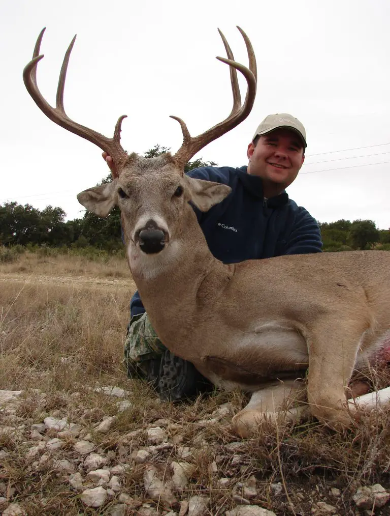 160 Class Whitetail Deer: All You Need To Know