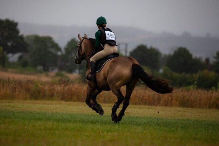 Why Does My Horse Not Want to Canter?