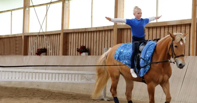 How to Make a Horse Vaulting Barrel: Easy DIY Steps!