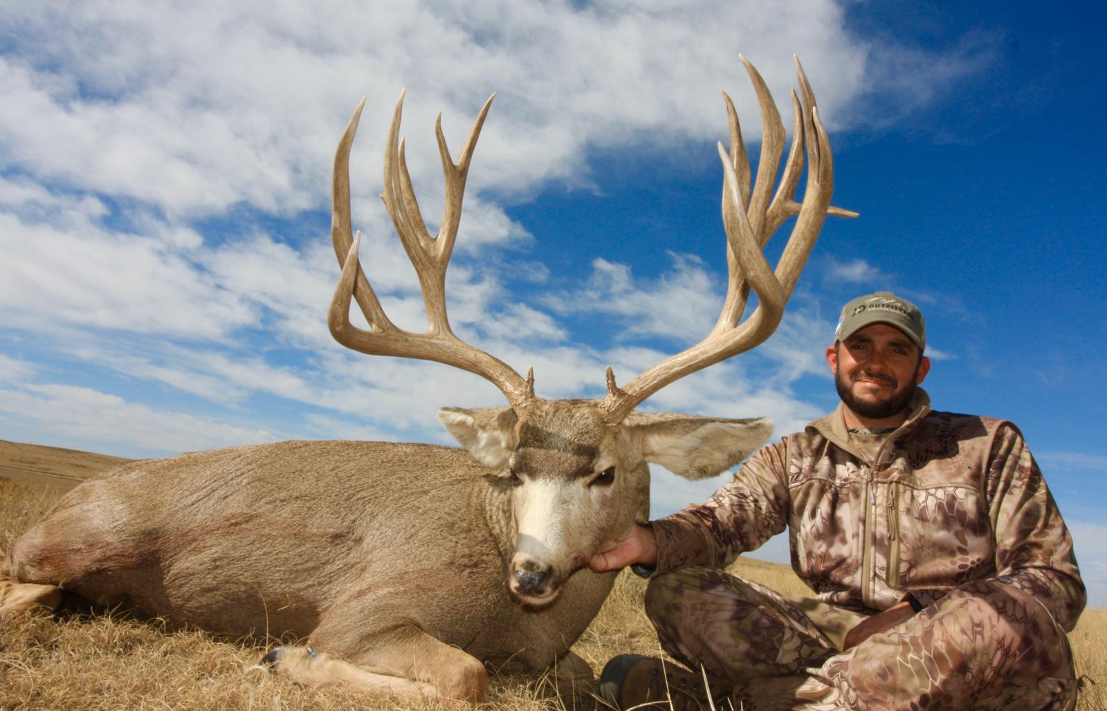 140 Class Mule Deer