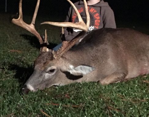 130 Class Whitetail Deer